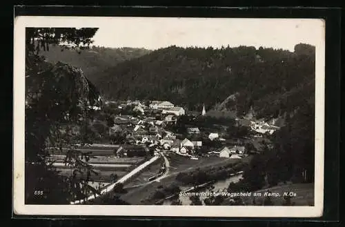 AK Pölla /N.-Oe., Wegscheid am Kamp, Ortsansicht