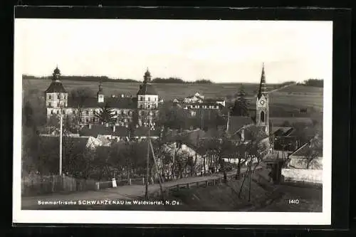 AK Schwarzenau /Waldviertel, Totalansicht mit Strasse