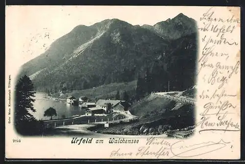 AK Urfeld / Bayern, Teilansicht mit Walchensee
