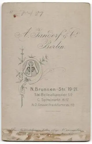 Fotografie A. Jandorf & Co., Berlin, Brunnen-Str. 19-21, Brügerliche Dame im Kleid