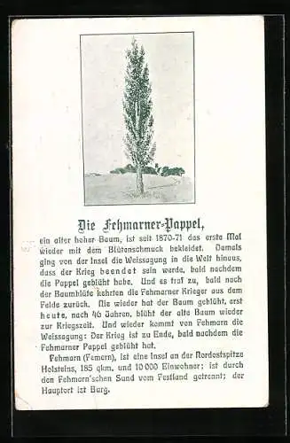 AK Fehmarn, Die Fehmarner-Pappel