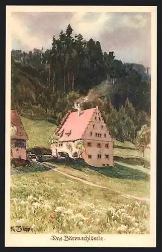 Künstler-AK C.Biese: Freudenstadt i. Schwarzwald, das Bärenschlössle