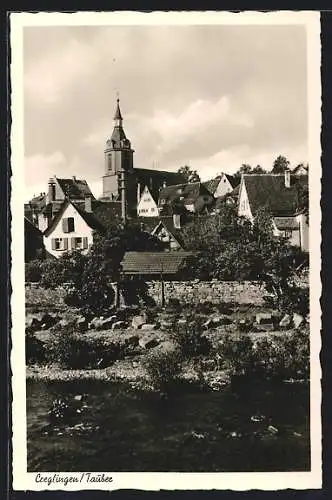 AK Creglingen, Teilansicht mit Kirche