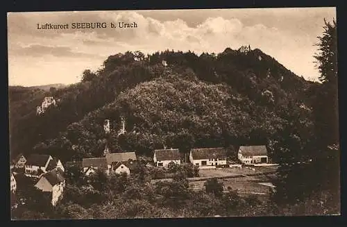 AK Seeburg b. Urach, Ortsansicht aus der Vogelschau