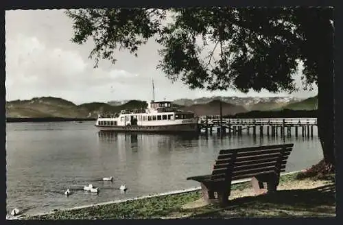 AK Utting a. Ammersee, Dampfer Motorschiff Utting