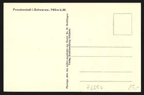 Künstler-AK Freudenstadt, Blick vom Ort auf Hohenzollern und schwäbische Alb