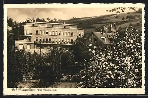 AK Bad Mergentheim, Das Sanatorium