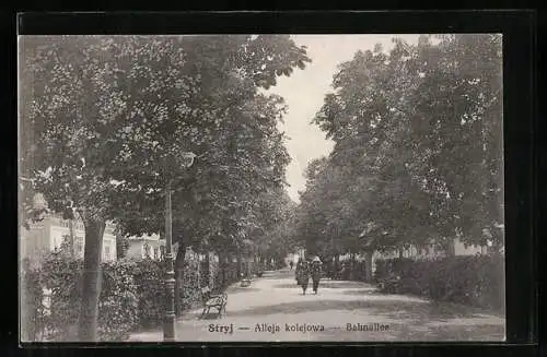 AK Stryj, Alleja kolejowa