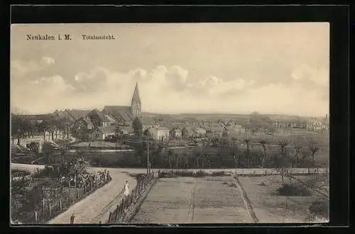AK Neukalen i. M., Ortsansicht aus der Vogelschau