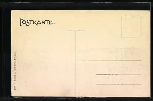 AK Neukalen i. M., Ortsansicht aus der Vogelschau