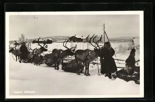 AK Lappar, Gällivare, Schwedische Lappen mit ihren Rentieren im Schnee