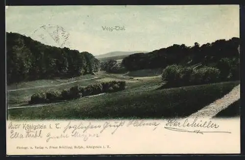 AK Königstein i. T., Woog-Thal Naturidylle