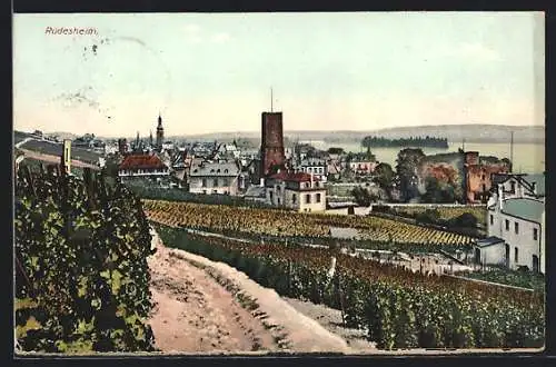 AK Rüdesheim am Rhein, Teilansicht mit Weinberg