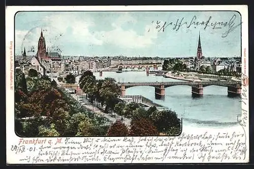 AK Frankfurt a. Main, Panorama mit Flusspartie