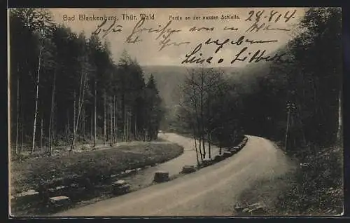 AK Bad Blankenburg /Thür. Wald, Strasse an der Nassen Schleife