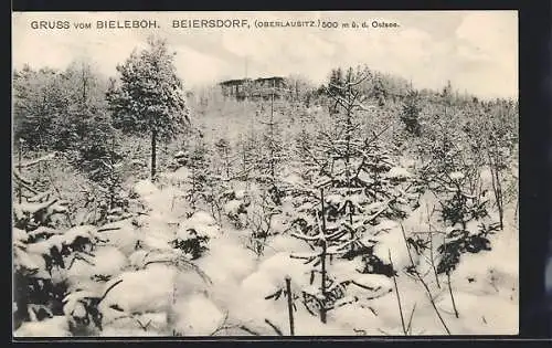 AK Beiersdorf /Oberlausitz, Bieleboh im Winter