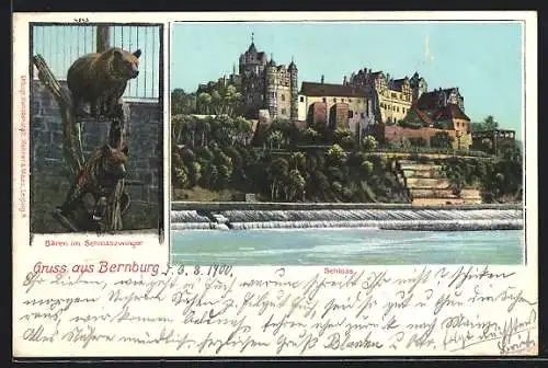 AK Bernburg, Bären im Schlosszwinger