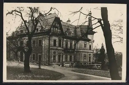 AK Wien, Schönbrunn, Gauschule Schönbrunn mit Anlagen