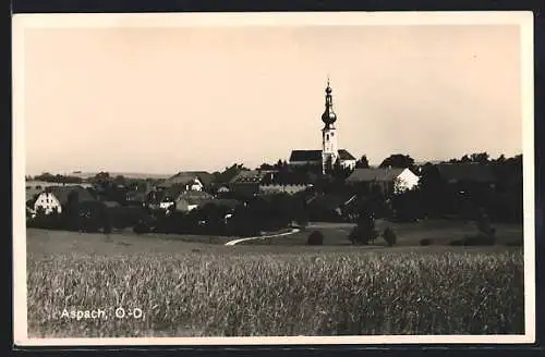AK Aspach /O.-D., Teilansicht mit Kirche