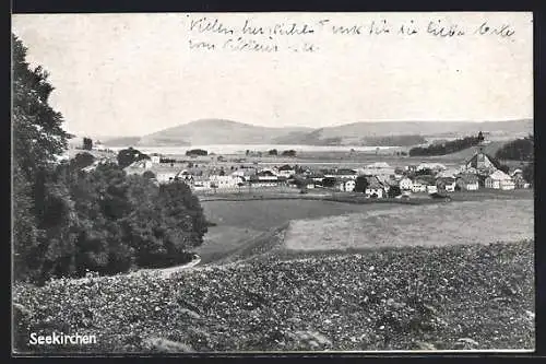 AK Seekirchen, Blick von der Blumenwiese auf den Ort