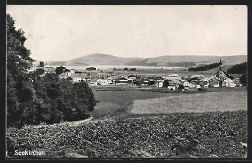 AK Seekirchen, Blick von der Blumenwiese auf den Ort