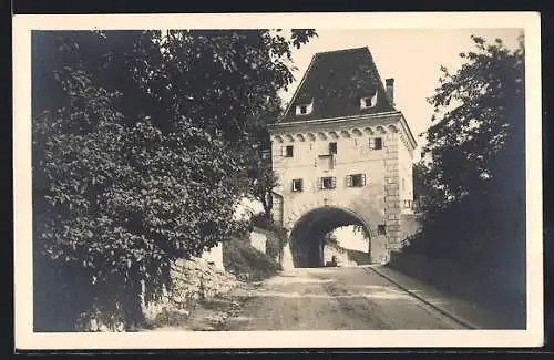 AK Steyr, Schnallentor mit Strassenpartie