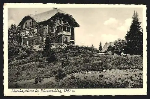 AK Bärenkogelhaus, Blick zur Hütte vom hang aus
