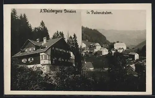 AK Puchenstuben, A. Weinbergers Hotel-Pension, Teilansicht vom Ort