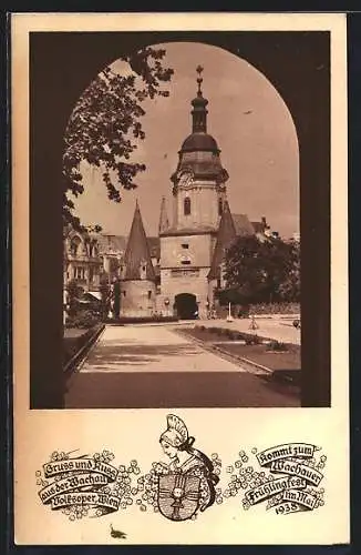 AK Krems a. d. Donau, Blick durch das Steiner Tor