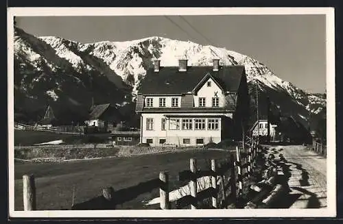 AK Puchberg a. Sch., Blick zur Pension Triebl
