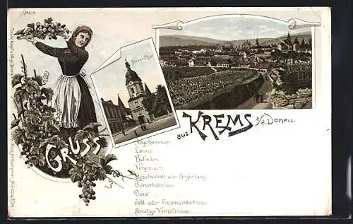Lithographie Krems a.d. Donau, Totalansicht, Steiner Thor