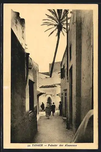 AK Tanger, Palmier des Aissaouas