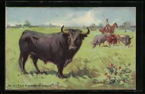 AK Toro bravo en el campo, Stierkampf