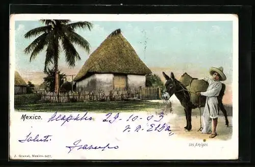 AK Los Amigos, Partie mit Hütte und Palme, Junge mit einem Packesel