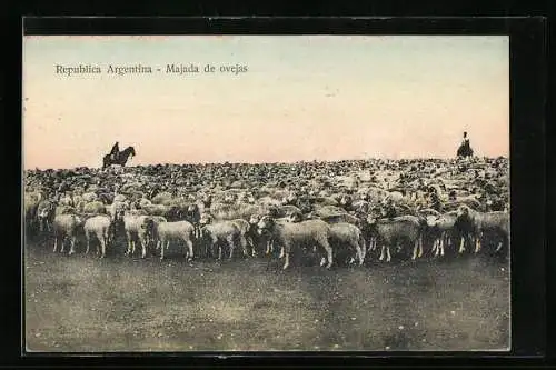 AK Argentina, Majada de ovejas, Hirten mit Schafherde