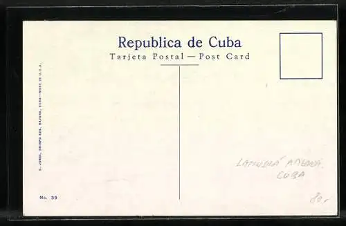 AK Habana, Corte de Cana, Cutting Sugar Cane