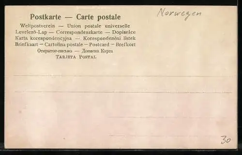 AK Lappefamilie, Sami mit Rentieren