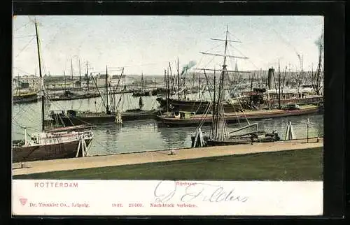 AK Rotterdam, Rijnhaven, Hafen