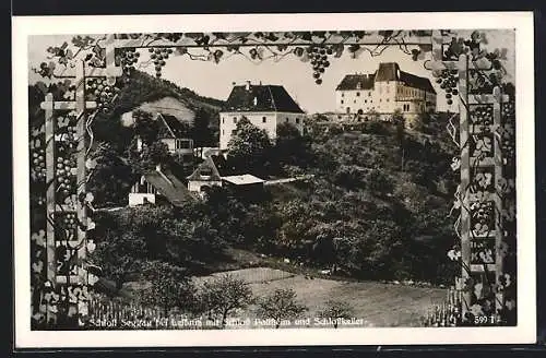AK Leibnitz, Fürstbischöfliches Residenzschloss Seggau mit Schloss Pollheim und Schlosskeller