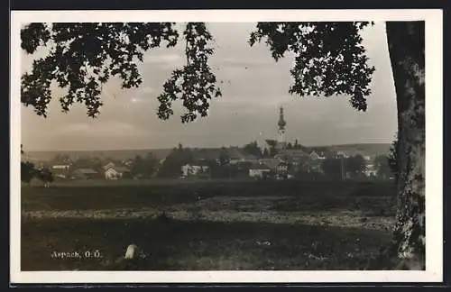 AK Aspach /O.-Ö., Teilansicht mit Kirche