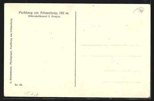AK Puchberg am Schneeberg, Ortsansicht aus der Vogelschau