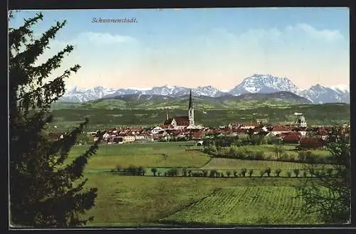 AK Schwanenstadt, Teilansicht