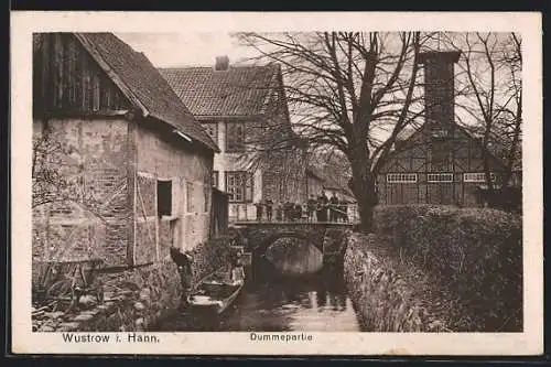 AK Wustrow i. Hann, Dummepartie mit Brücke und Kahn