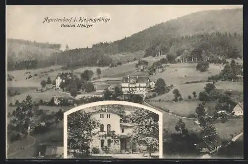 AK Agnetendorf i. Riesengebirge, Hotel-Pension Höniger