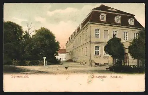 AK Straupitz, Schloss
