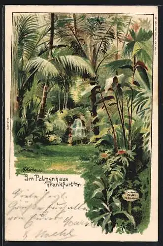 Künstler-AK Frankfurt a./M., Im Palmenhaus