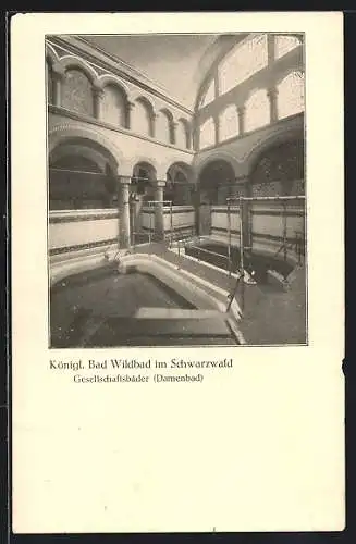 AK Bad Wildbad im Schwarzwald, Gesellschaftsbäder, Damenbad, Innenansicht