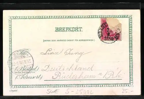 Lithographie Helsingborg, Kärnan, Radhuse, Totalansicht mit Flusspartie