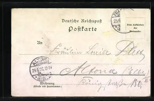 Lithographie Assmannshausen, Burg Ehrenfels, Niederwald-Denkmal