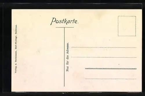 AK Heiligendamm, Grossherzogliche Villen